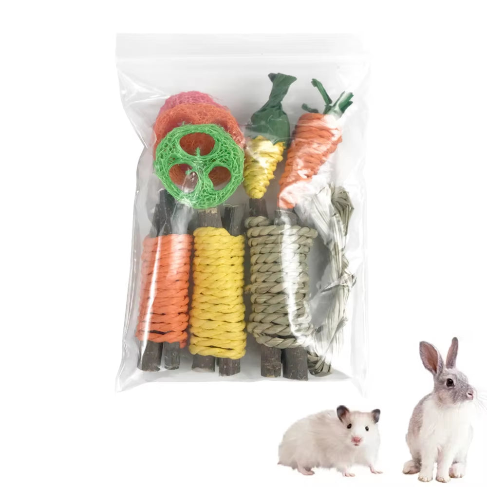 Small Pet Toy Set