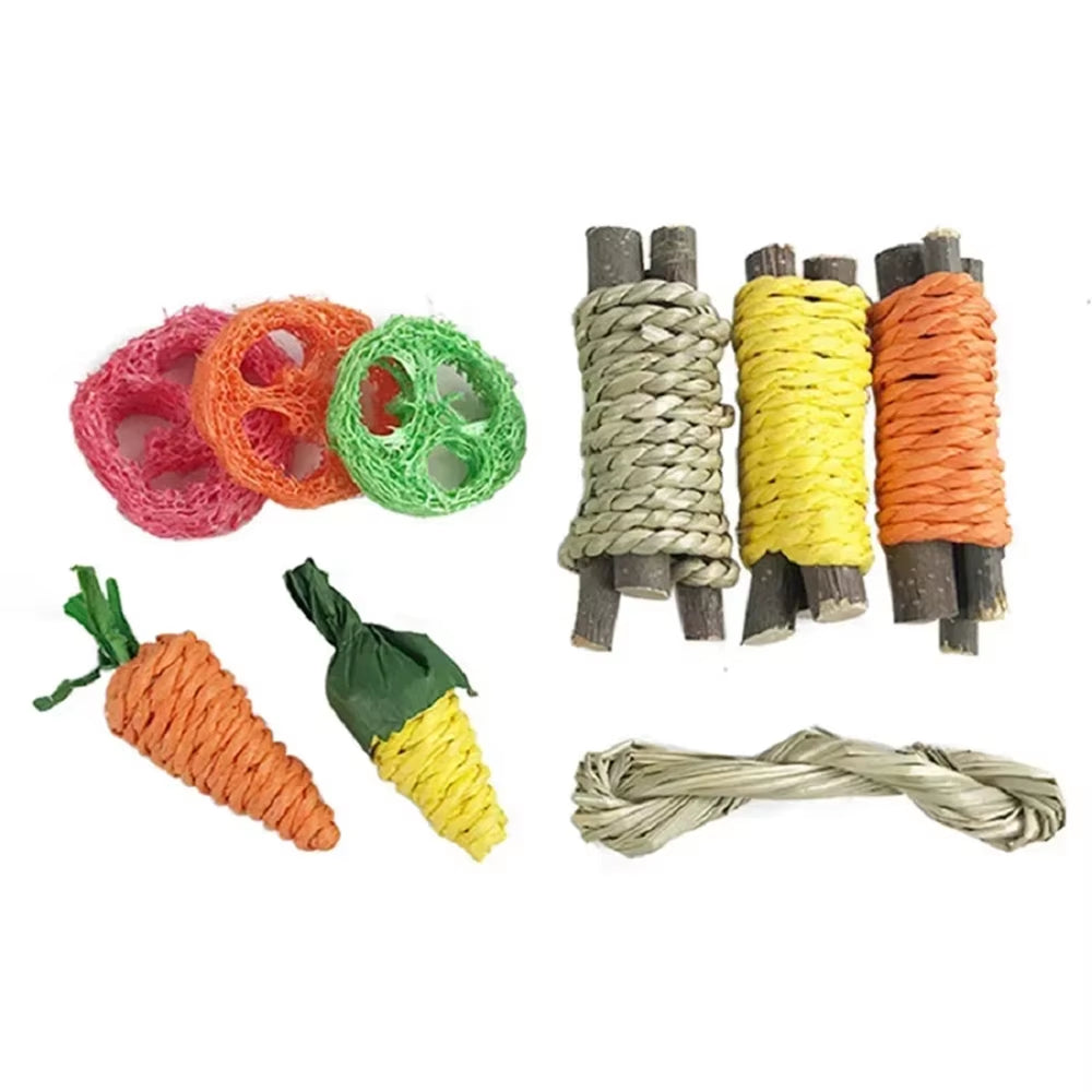 Small Pet Toy Set