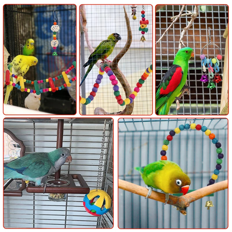 Bird Cage Swing 