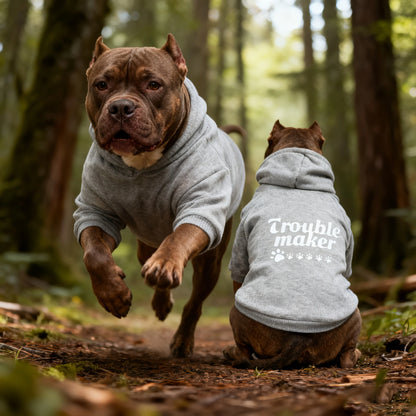 Trouble Maker Dog Hoodie 