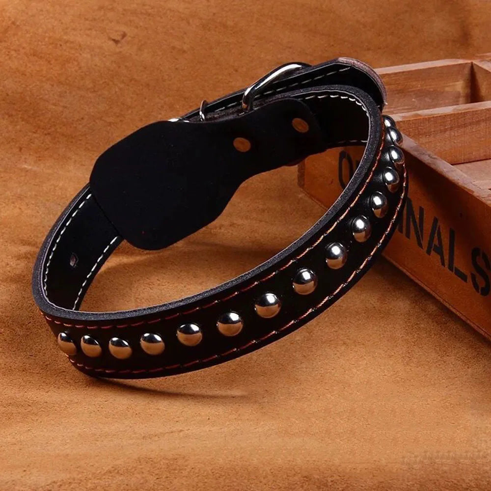 Black dog collar hardware detail