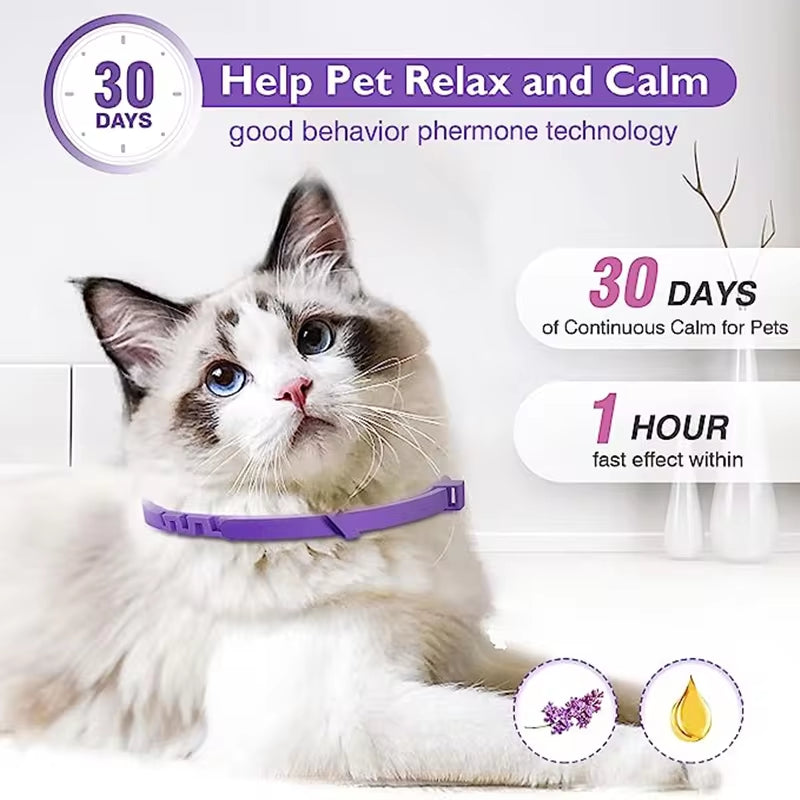 Pet Calming Collars 