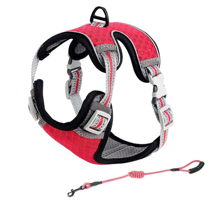 Cat Harness and Leash for Walking