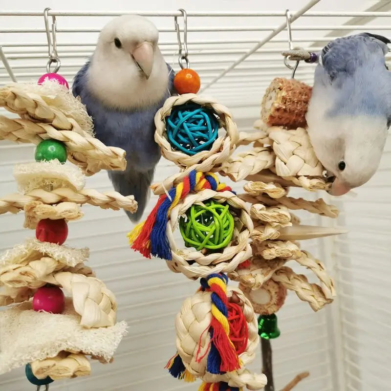 Natural Shredding & Chew Toy for Parrots — main product view