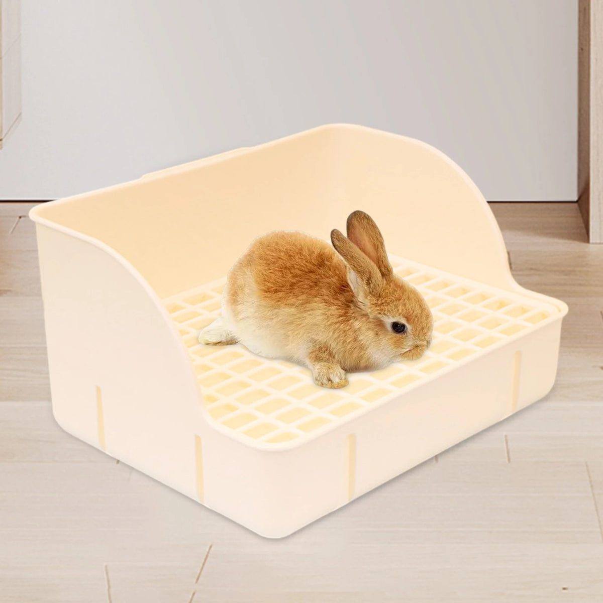 Rabbit sitting in the beige raised-grid litter box