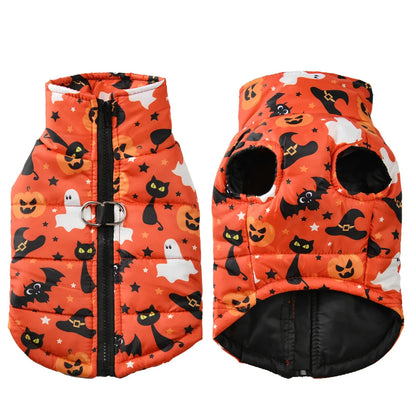 Orange pumpkin-web Halloween dog coat