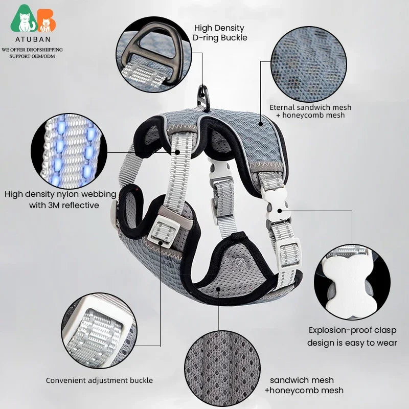 Cat Harness and Leash for Walking