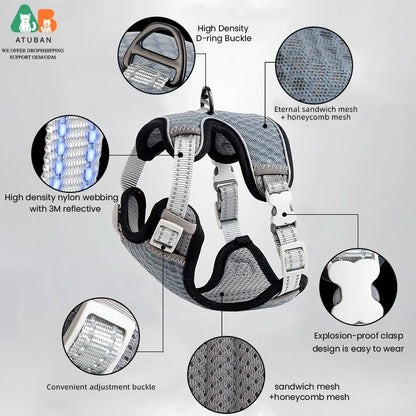 Cat Harness and Leash for Walking