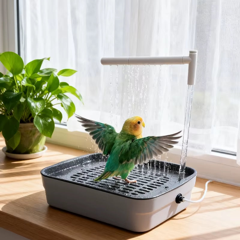 Bird Bathtub and Shower