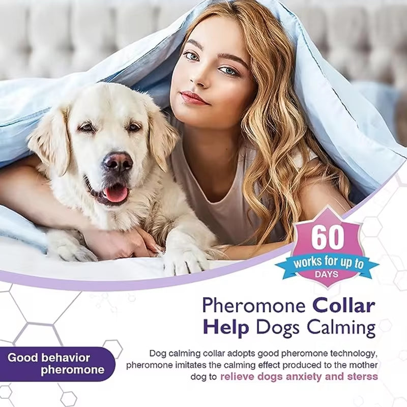 Pet Calming Collars 