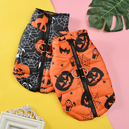 Black spiderweb Halloween dog coat