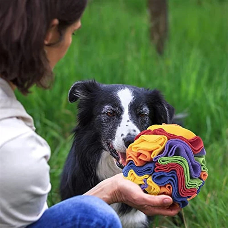 Dog Snuffle Ball Mat 