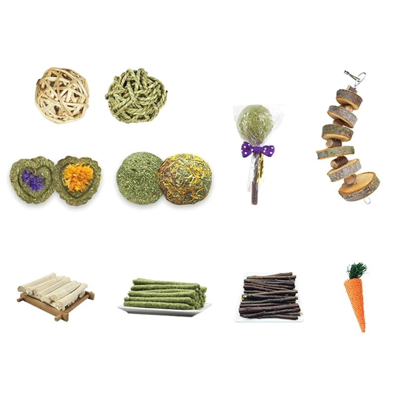 Rabbit Chew Toys Set