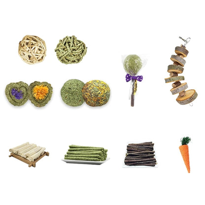 Rabbit Chew Toys Set
