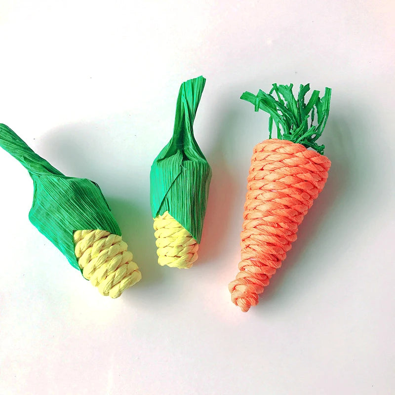 Small Pets Chew Toy 