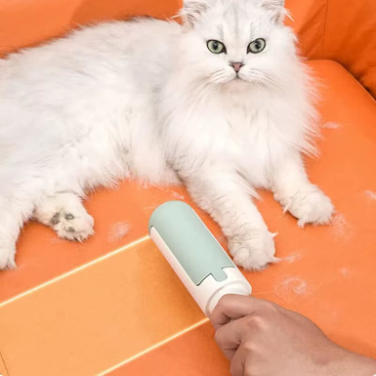 Cat and Dog Hair Remover Brush — featured product image