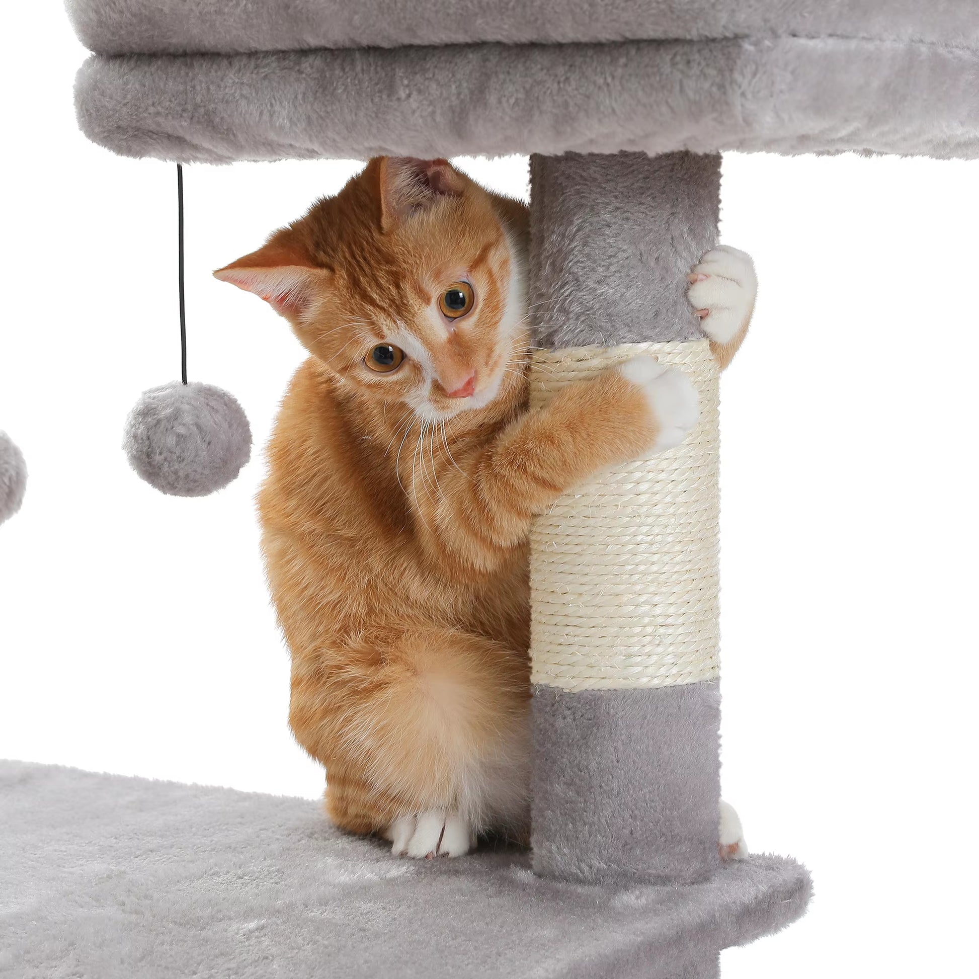 Luxury Cat Tree with Hammock, Scratching Posts & 2 Cozy Perches - Perfect Indoor Condo for Cats