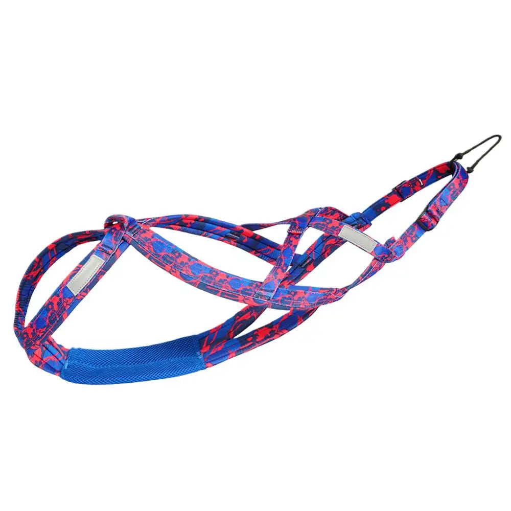 Dog Running Harness