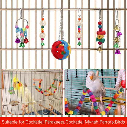 Bird Cage Swing 