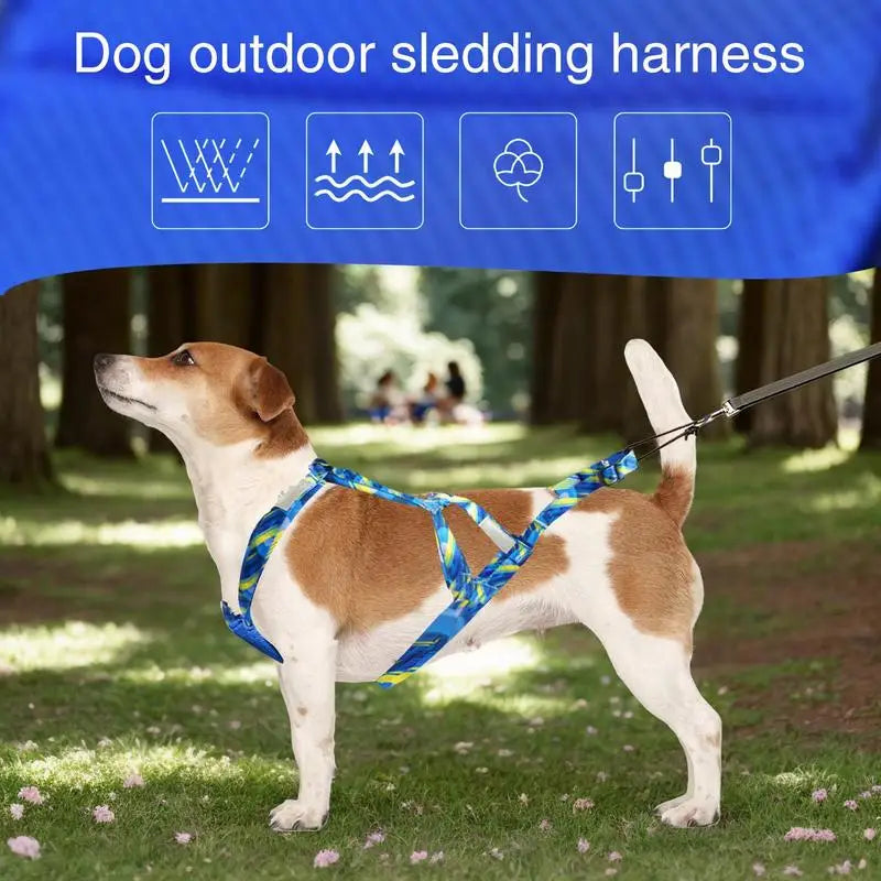 Dog Running Harness