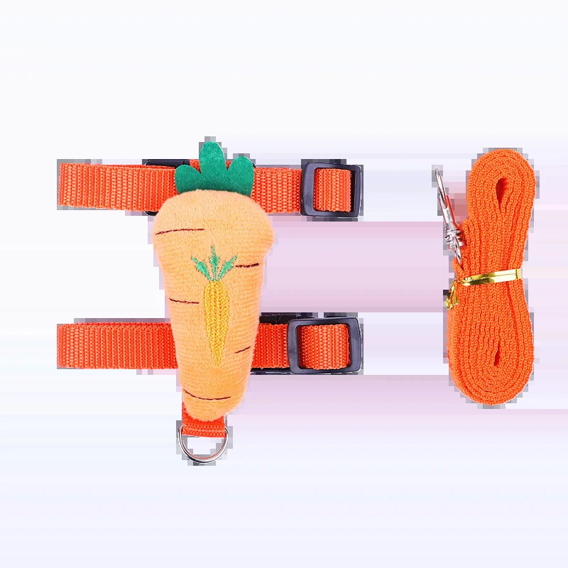 Carrot harness and matching leash