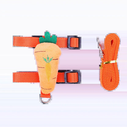 Carrot harness and matching leash