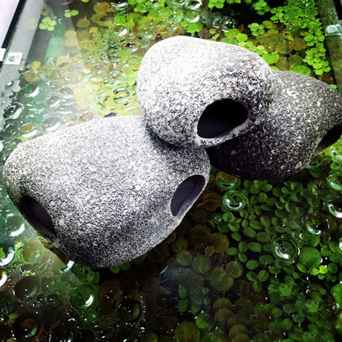 Ceramic cichlid cave in a planted aquarium