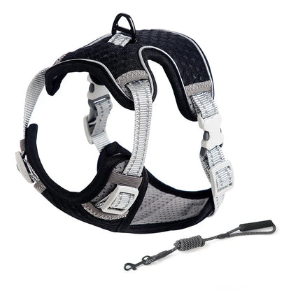 Cat Harness and Leash for Walking