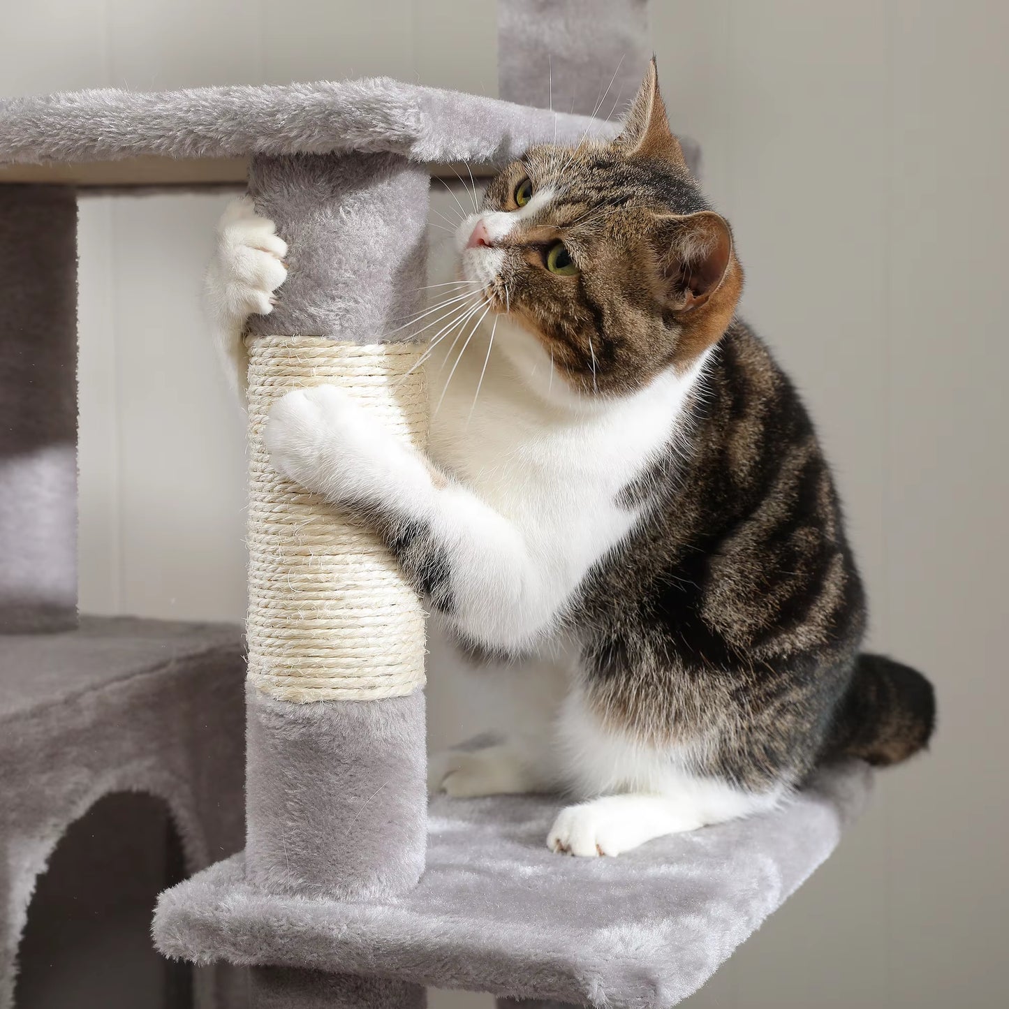 Luxury Cat Tree with Hammock, Scratching Posts & 2 Cozy Perches - Perfect Indoor Condo for Cats