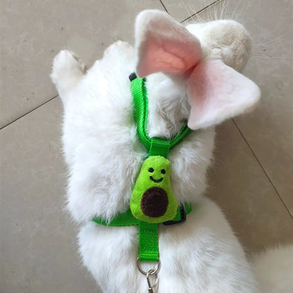 Rabbit wearing the avocado harness