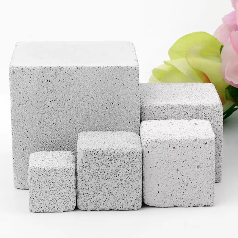 Small pet beside a mineral chew stone