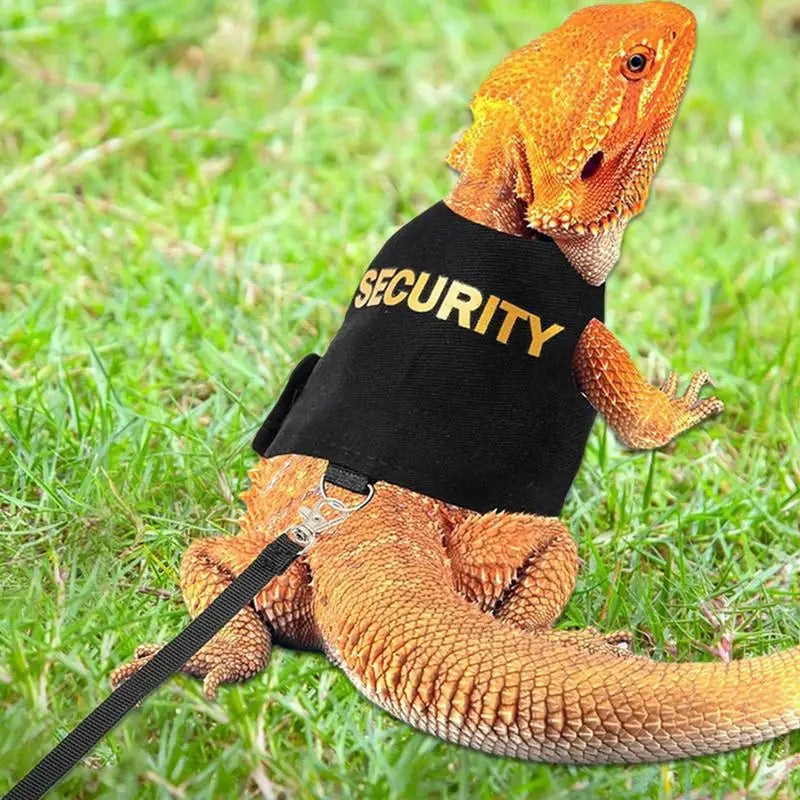 Reptile Harness and Leash 