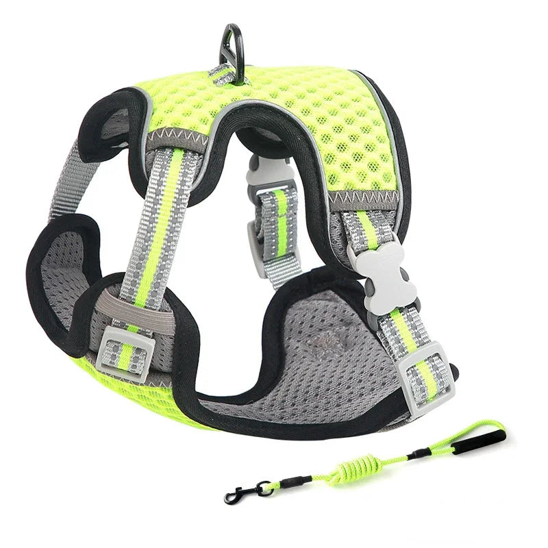 Cat Harness and Leash for Walking