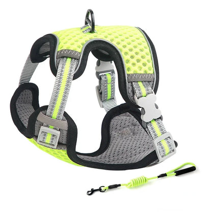Cat Harness and Leash for Walking