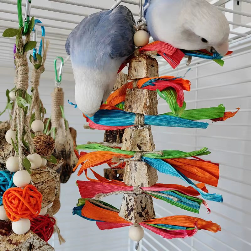 Colorful Hanging Chew and Training Toy
