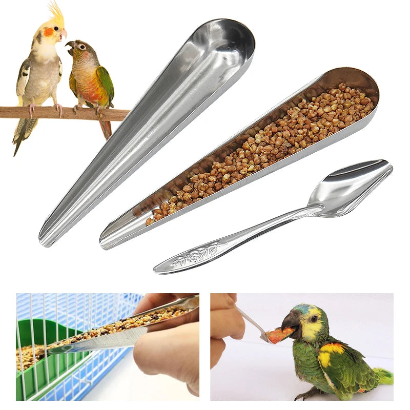 Bird Feeding Spoon 