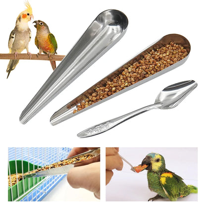 Bird Feeding Spoon 