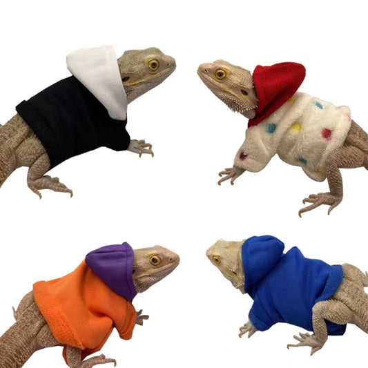 Bearded Dragon Costume 