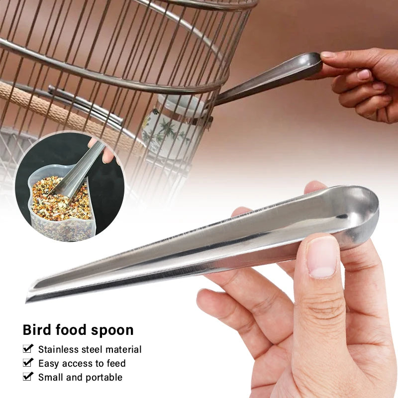 Bird Feeding Spoon 