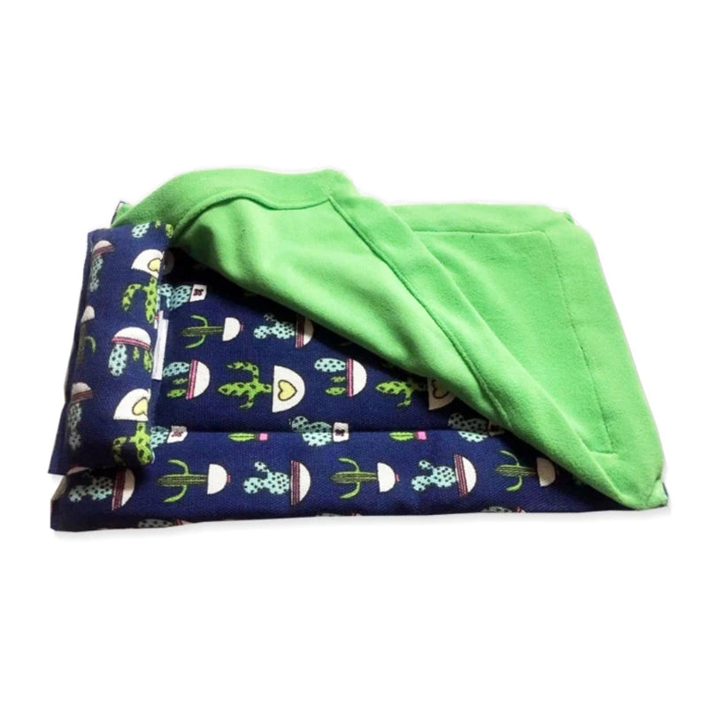 Bearded Dragon Bed with Pillow and Blanket