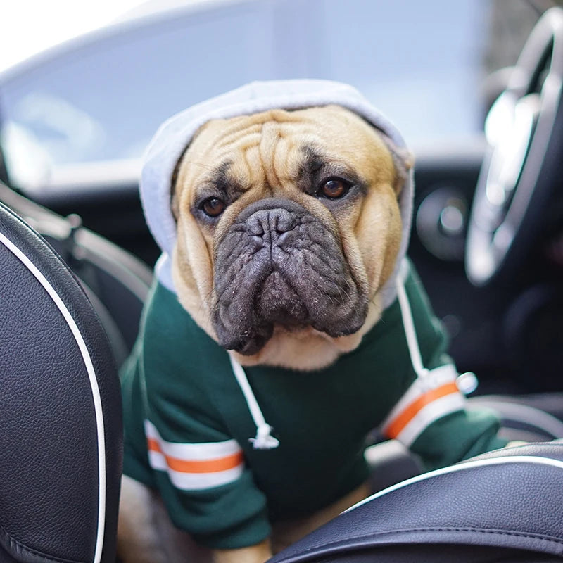 Red Grandy collegiate dog hoodie