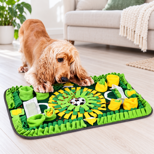 Spaniel using a green and yellow snuffle blanket