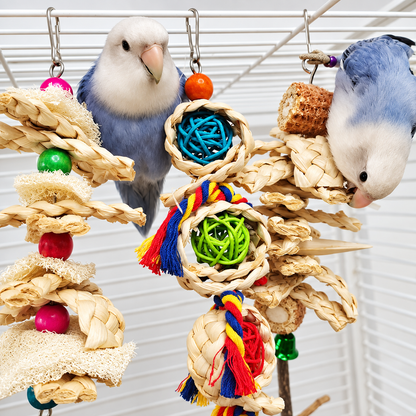 Two small parrots exploring natural shredding and chew toys