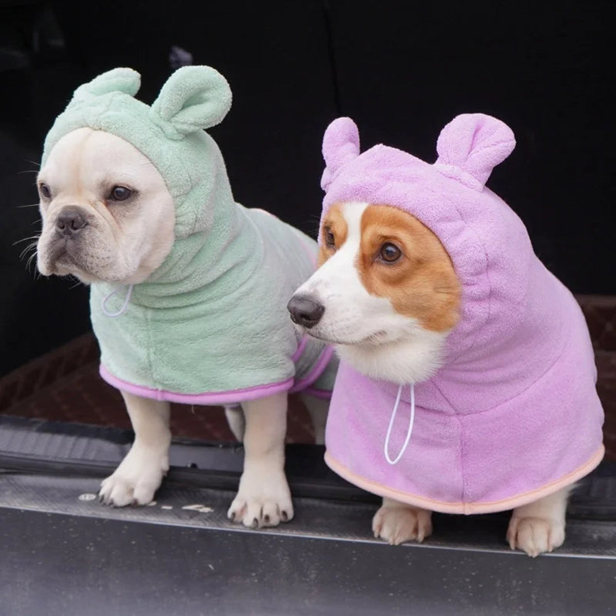 Wrap-Style Quick-Drying Dog Bathrobe — featured product image
