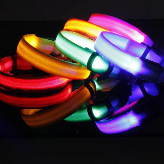 USB-Rechargeable Reflective Nylon LED Dog Collar — featured product image