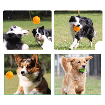 Dogs playing with spiky squeaky balls