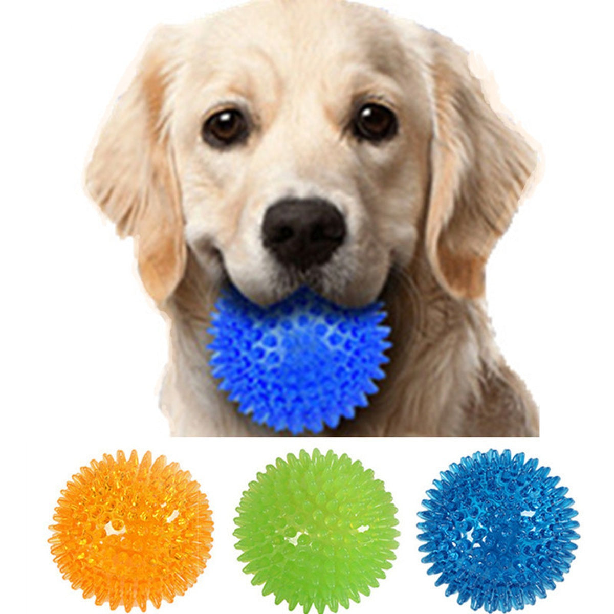 Dog holding a blue spiky squeaky ball