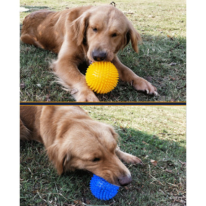 Dog playing outdoors with a spiky squeaky ball