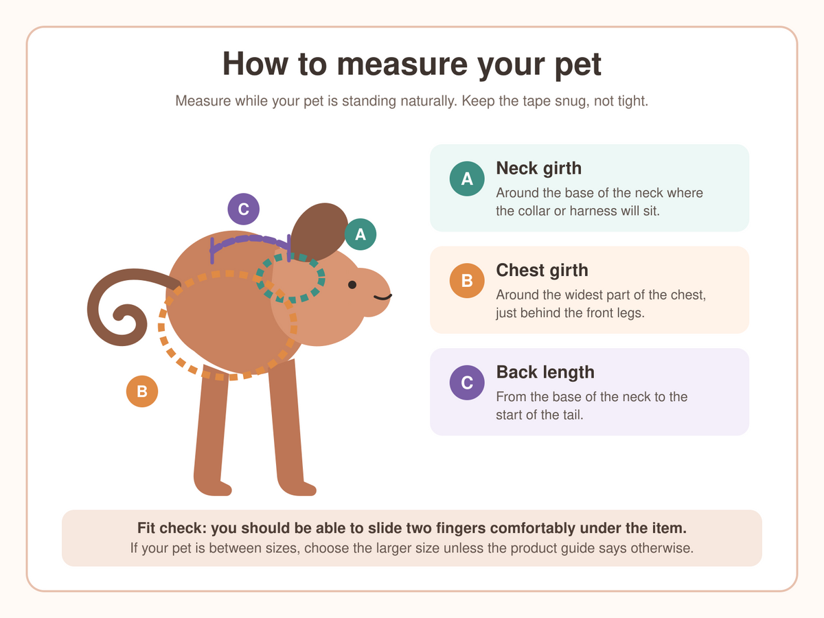 How to measure a pet for a harness, collar or coat