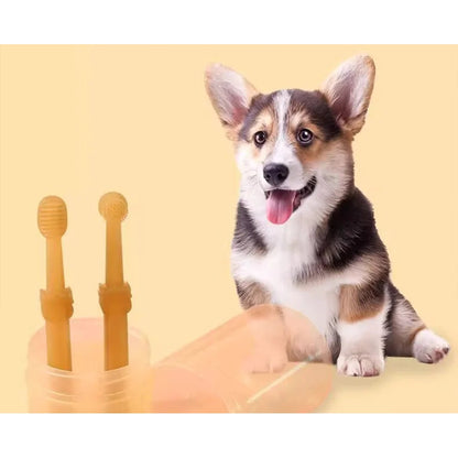 Two-piece silicone pet toothbrush set beside a dog